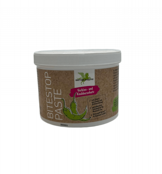 ���� ����